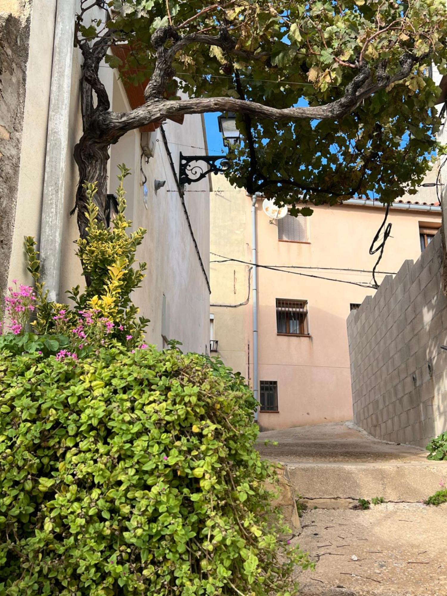 Tranquilo Apto Ideal Paraturismo Rural Y Relax Gandesa Exterior photo